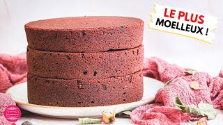 LE GÂTEAU AU CHOCOLAT PARFAIT POUR LES LAYER CAKES