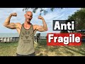 Antifragile Fat Loss