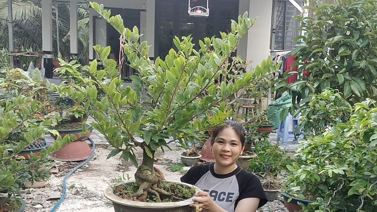 5/3/2026 xã rẻ lô Giảo như ý lấy siêu bo chỉ từ 850k☎0939099607 Thúy Hằng