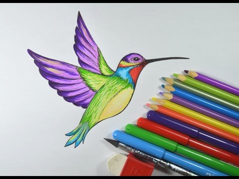como desenhar um beija flor passo a passo youtube