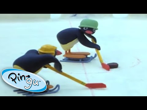 Pingu Plays Ice Hockey Pingu Official Cartoons For Kids