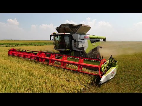 CLAAS Lexion 8700