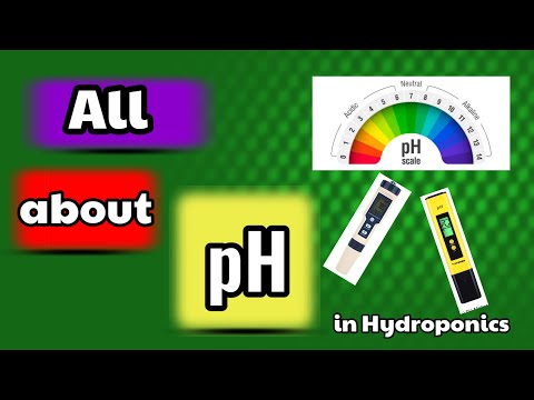 pH in Hydroponics | All about pH
