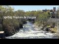 Spring Coming Noisily | Fergus, Ontario