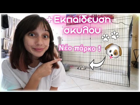 Πήραμε πάρκο σκύλου
