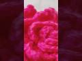 #crochet #crochetpatterns #crochetflower #tutorial #flowers #crochetforbeginners