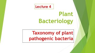 Taxonomy of plant pathogenic bacteria │Identification, Classification, Nomenclature │Candidatus