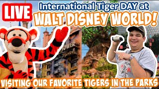 🔴Live: International Tiger Day Around Disney World! - Rides, Tigers & More - Disney World Livestream