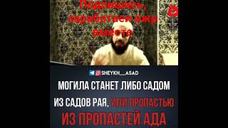 Могила! Билял Асад