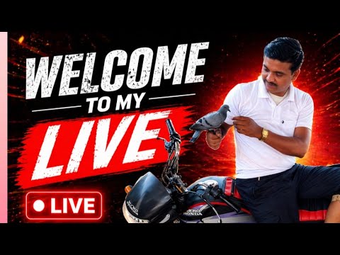 Sanjay kumar Pigeon lover  is live!