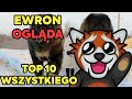 EWRON OGLĄDA TOP 10 NAJDROŻSZYCH ZWIERZĄT NA ZIEMI