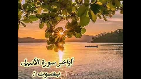 أواخر سورة الأنبياء "و أيوب إذ نادى ربه... "#بصوت-أحمد عيسى.