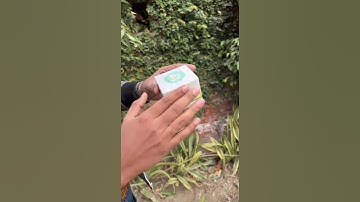 🌟Unlock Success with These Innovative Custom Packaging For Business Strategies