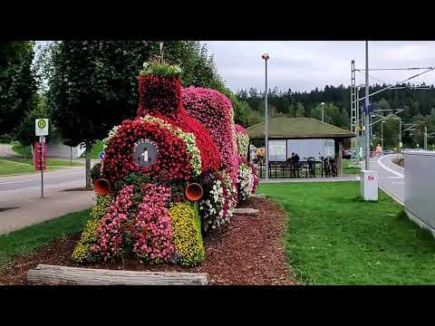 Titisee & Schluchsee - Tales of Two Lakes | Black Forest | Germany