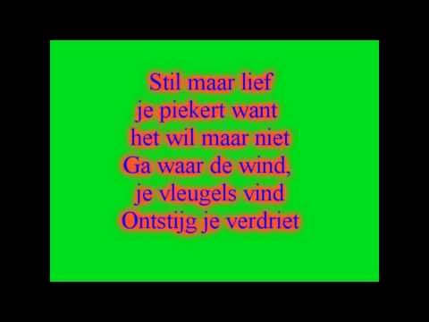 3j's je vecht nooit alleen +lyrics(tekst) (Eurovision 2011 Netherlands)