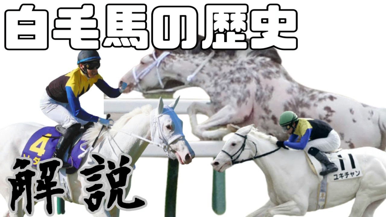 ソダシ！ブチコ！ユキチャン！白毛馬の歴史を解説【ゆっくり解説