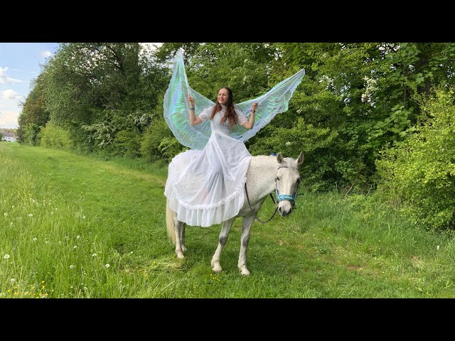 🧝‍♀️ Wo ist das Horn vom Einhorn 🦄 ?