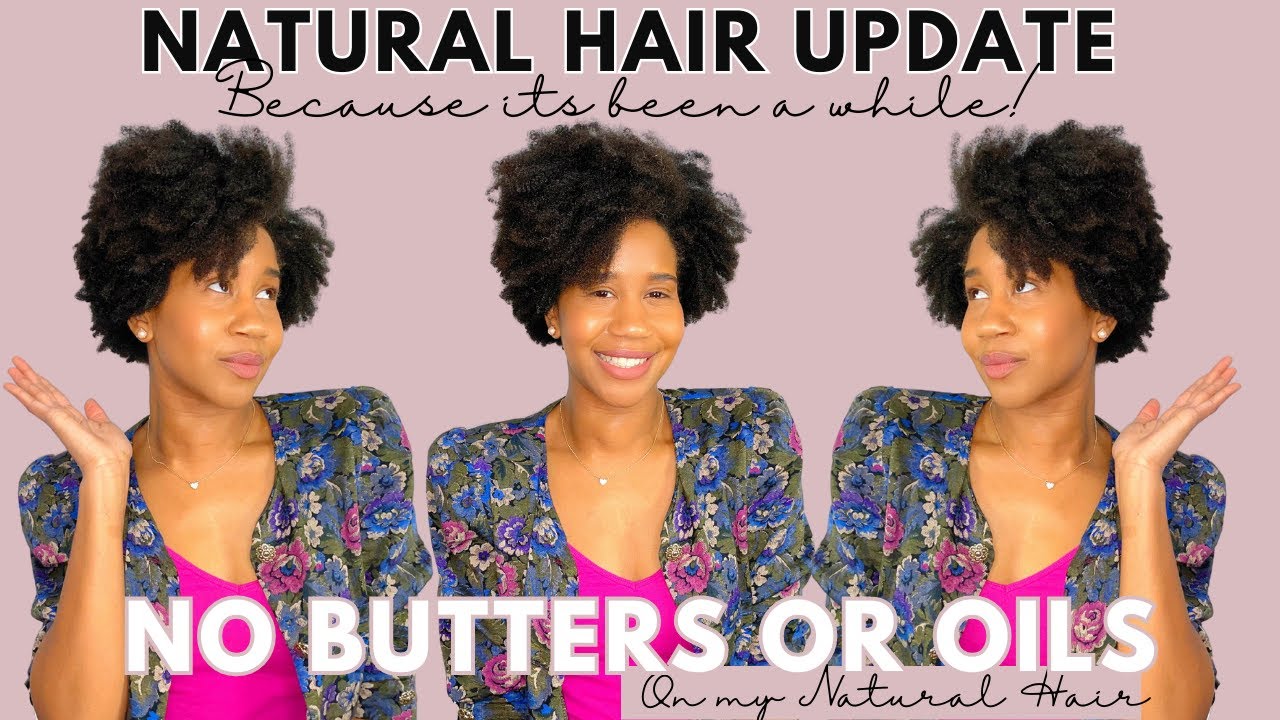 No Oils or Butters Natural Hair Update + Salon Visit w/ Cut It Kinky