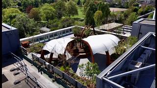 Outdoor Critical Care Roof Garden opens at King’s College Hospital (UK) 29/May/2026