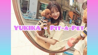 【日本語字幕】YUKIKA - Pit-a-Pet