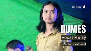 Dumes//cover Meisy//Live Orgen tunggal Dut Koplo Remix