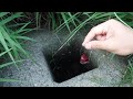 血の滴るエサをこの穴に落としてみると・・・