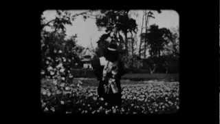 KINO Official Trailer