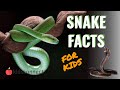 Snake facts for kids