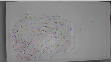 Automated tracking large numbers of schooling fish