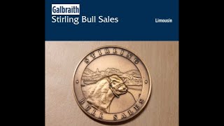 Limousin Show of Bulls at Stirling 3.30pm on Sunday 1st February’26