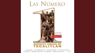 Video thumbnail of "Mariachi Vargas de Tecalitlán - Jarabe Tapatio"