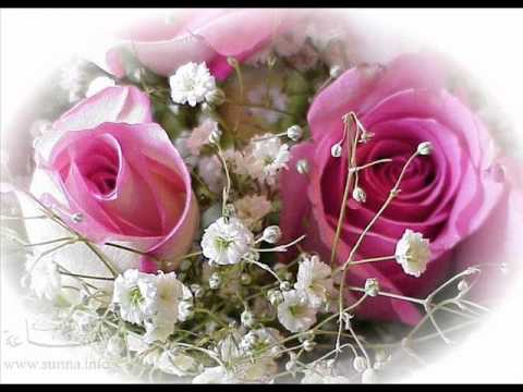 أجمل ورد الحب والرومانسية في العالم صور ورد وزهور Rose Flower Images