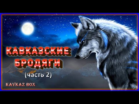 Кавказские Бродяги Kavkaz Box