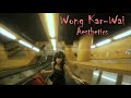 Wong karwai aesthetics  soloinstru edit