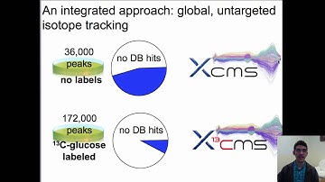 XCMS Institute: X13CMS