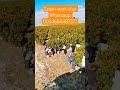#shorts #trending #viral #ytshorts #newvideo #viralvideo #trendingshorts #new #spain #india #live