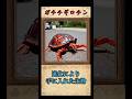 硬さを極めし者?ガチチギロチンについてご紹介 🦀 #かぎあな紹介 #shorts
