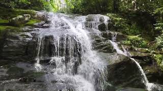 Lower Higgins Creek Falls