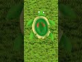 Scratch The Turtle Interactive Cute Turtle Scratch The Turtle Interactive Cute Turtle