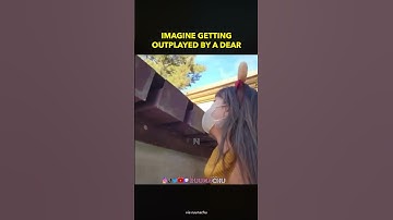 Imagine Getting Outplayed by a Deer