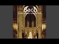 Lélio Choeur D 39 Ombres mp3