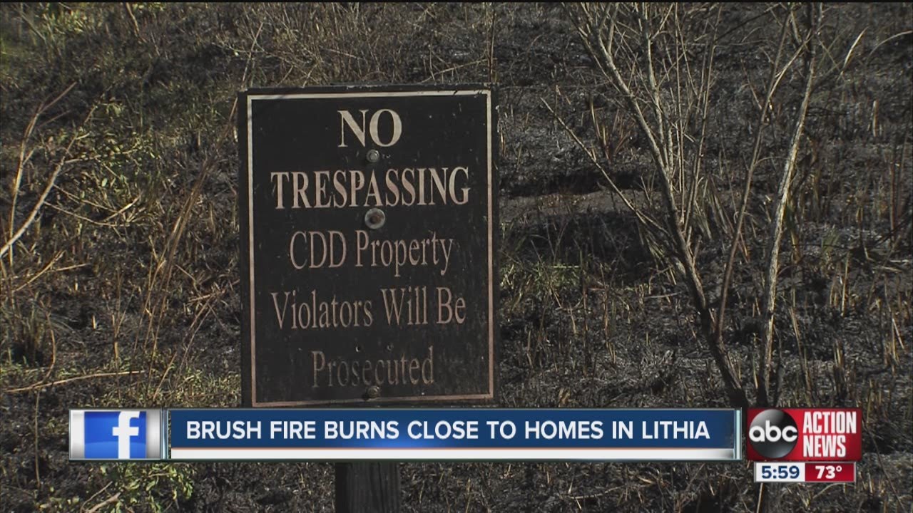 Brush fire threatens Fishhawk homes, Bevis Elementary School - YouTube