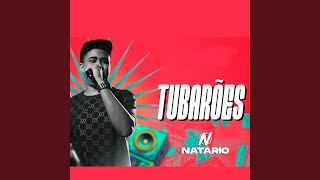 Tubarões