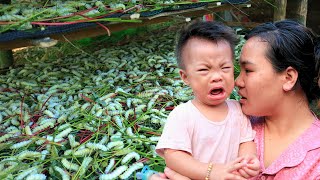 Single Mom - Harvesting silkworms, growing vegetables, taking care of my daughter