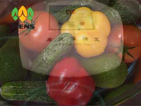 ოზონატორი