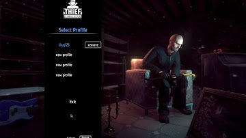 Thief Simulator Basics 1