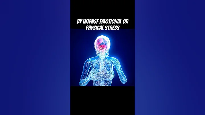 Stress Can Kill ! - The Broken Heart Syndrome 🫀#neuroscience #brainheart thumbnail