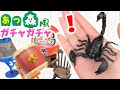 【ガチャガチャ】あつ森風のミニチュア大量開封！巨大なサソリ！ミニチュアハウスDIY計画【ガチャガチャの森】