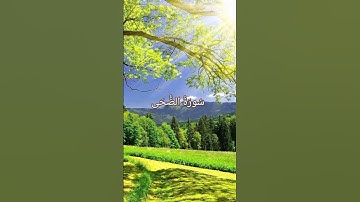 سورة الضحى بصوت القارئ "عبد الرحمن مسعد"