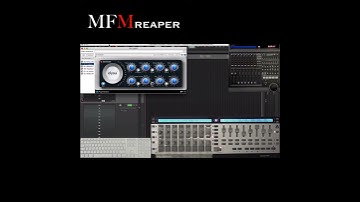 REAPER DAW Window focus clarified/fixed.  From the "Got an issue? Ere
